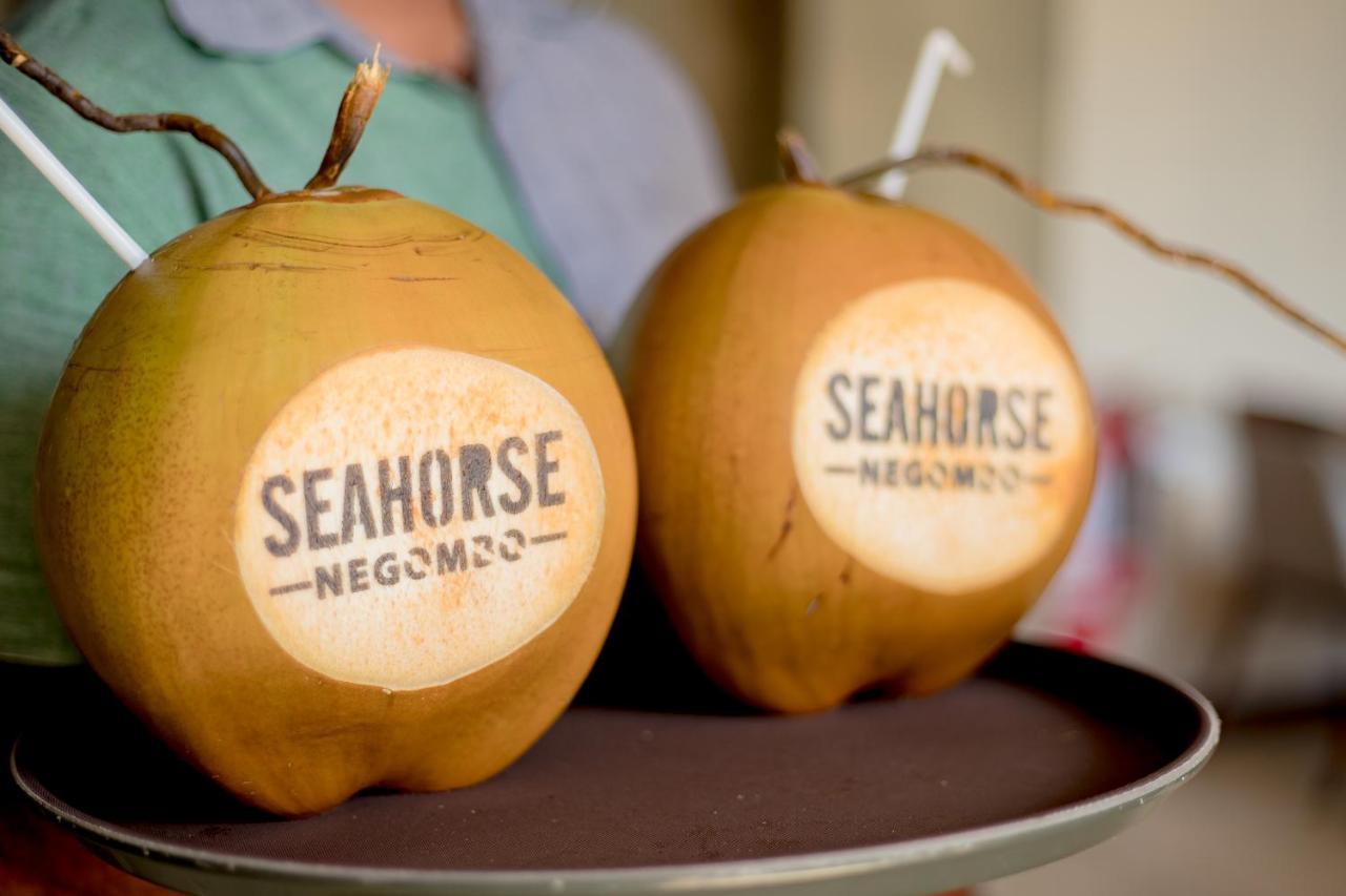 Seahorse Hotel & Spa 尼甘布 外观 照片